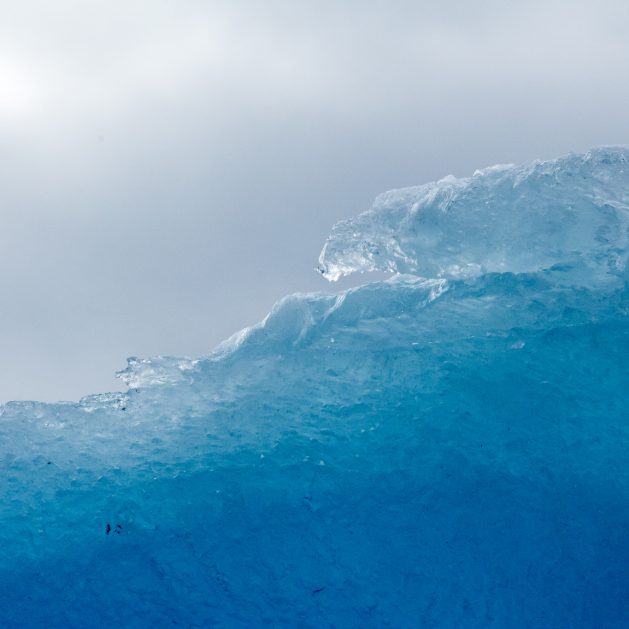 Iceberg.-Picture-by-Mark-Byzewski-Creative-Commons-629x629